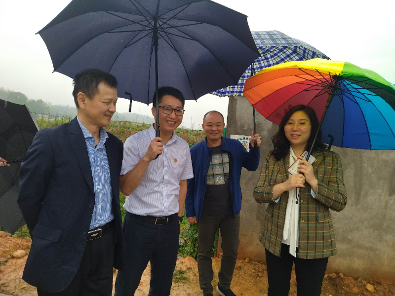 桃江 主席.jpg 桃江 主席.jpg